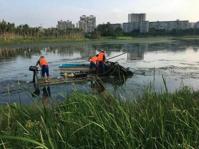 凤翔公园乾坤湖段水生态修复 沉水植被科学收割背后的技术逻辑