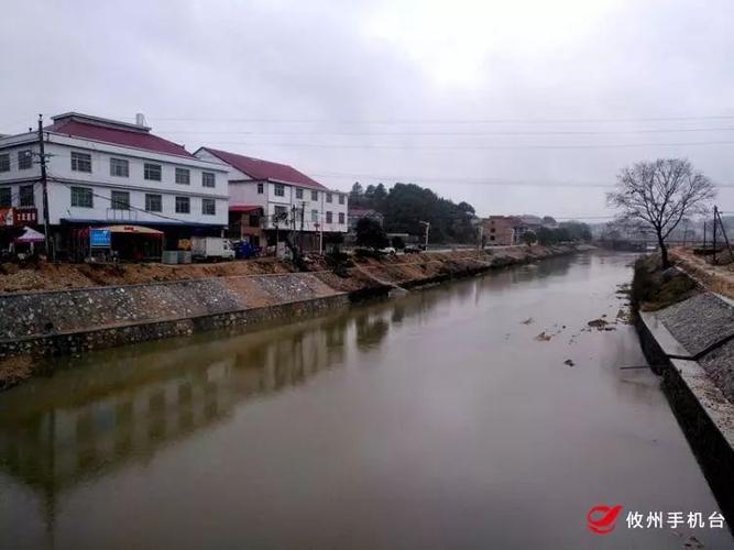 丫江桥镇重拳出击 水环境生态修复技术全面解析