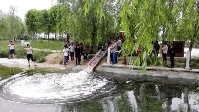 常用水环境治理及生态修复技术汇总与应用
